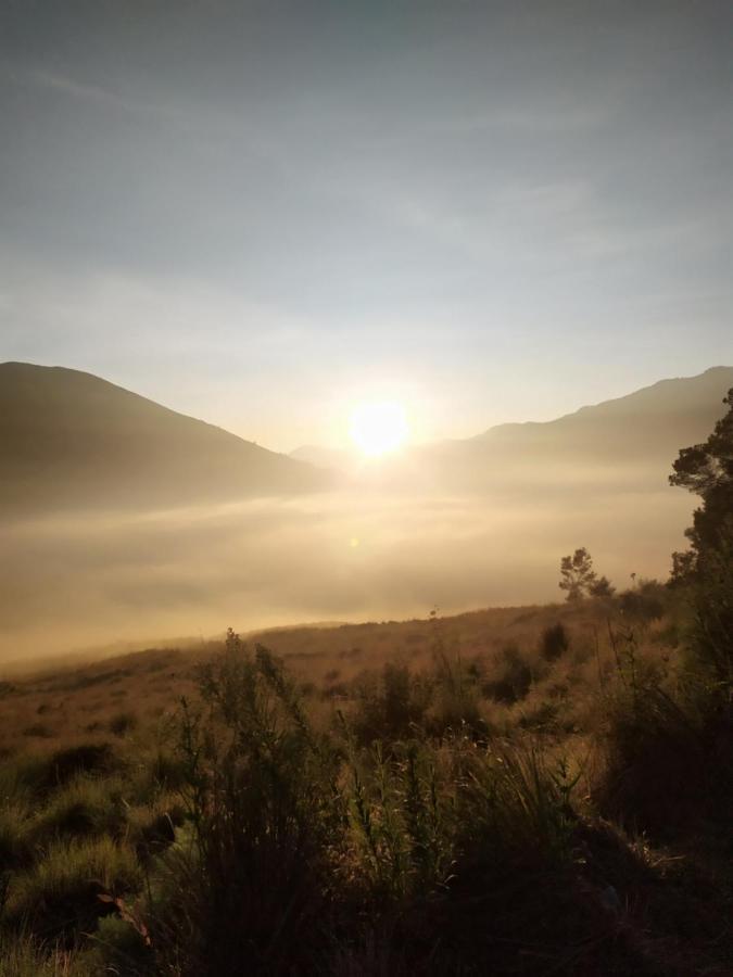 Lusman Homestay Bromo Ngadisari Exteriör bild